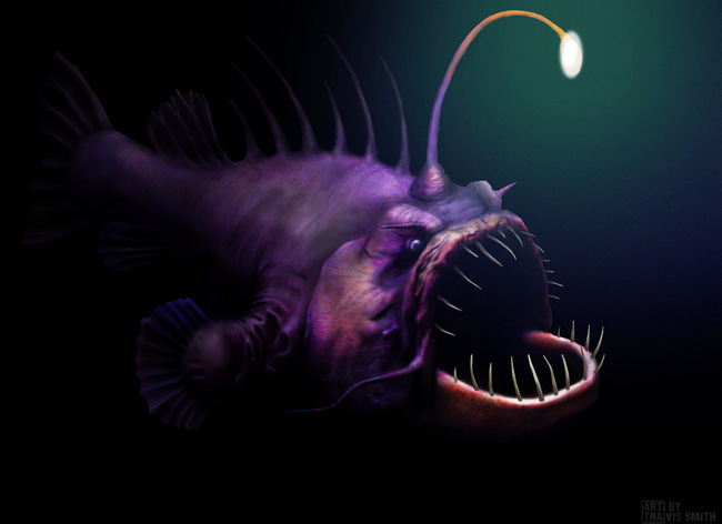 79fee3d8718e92b773e7.jpg