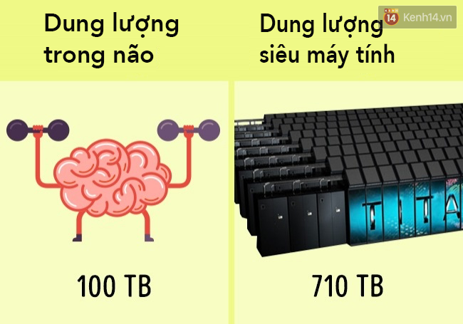 7a01b76c32bce58eb301.png
