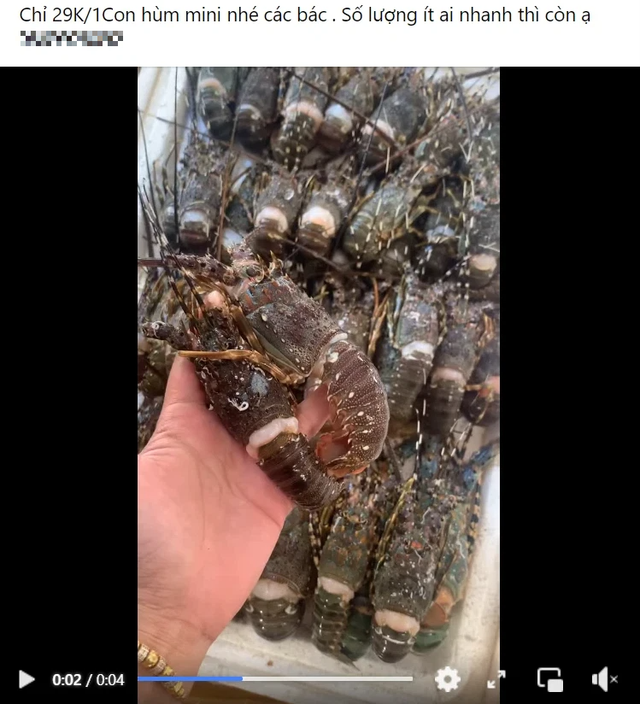 7a6be98e8d1c96a0bb79.png
