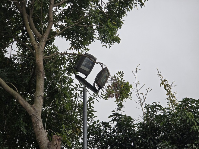 7acef7abcf326e0609e4.jpg