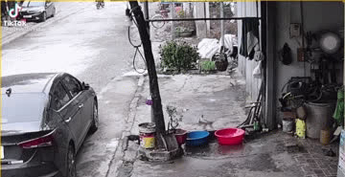 7adf952580d2553421c7.jpg