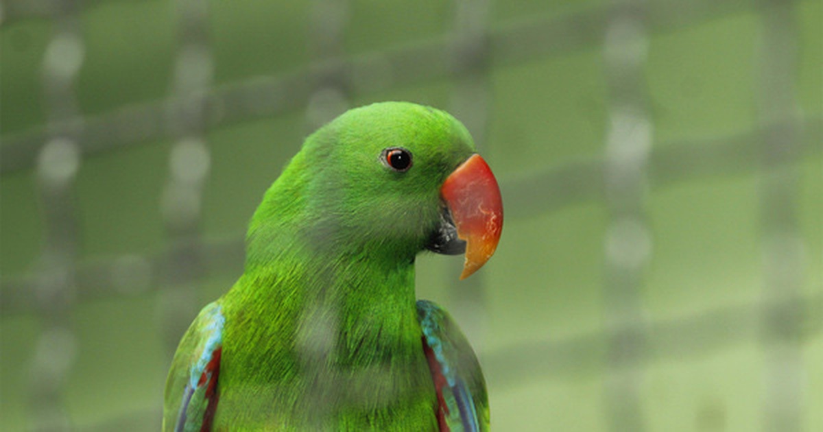 7b0218654bd69daed4c1.jpg