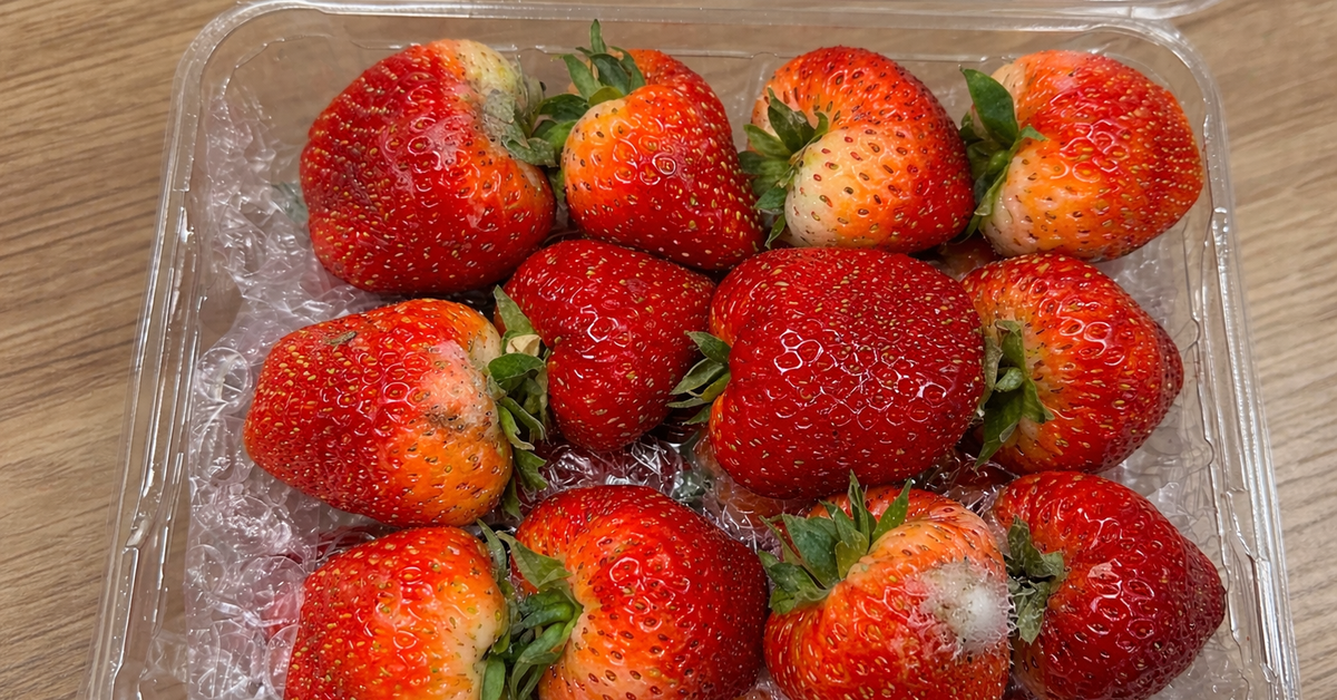 7b0870bfd0c92969f094.png