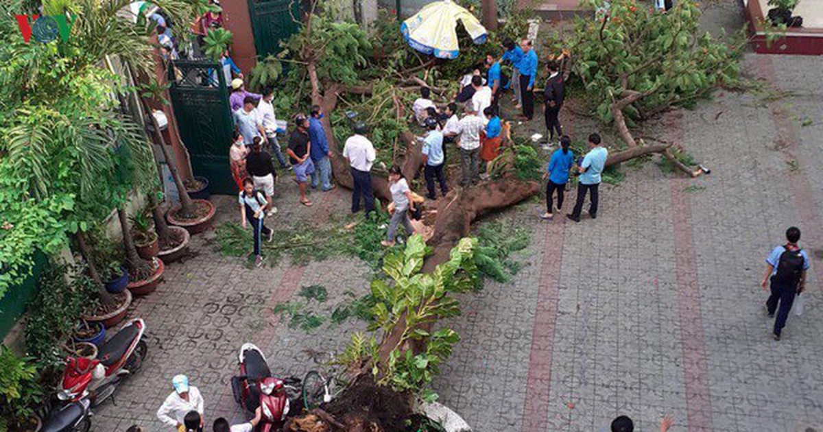 7b20f6ad080740bece57.jpg
