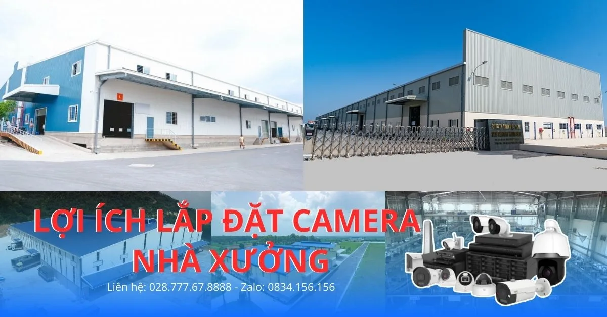 7b68029ec43e40a954fa.webp