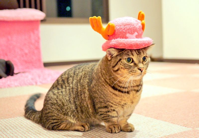 7c01bd5adf1c5f970f33.jpg