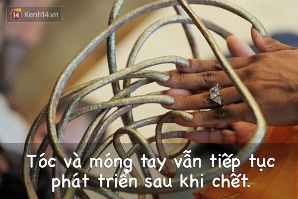 7c07bdcc256b98dd9c04.jpg