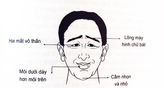 7c2d4f323db8690463aa.jpg