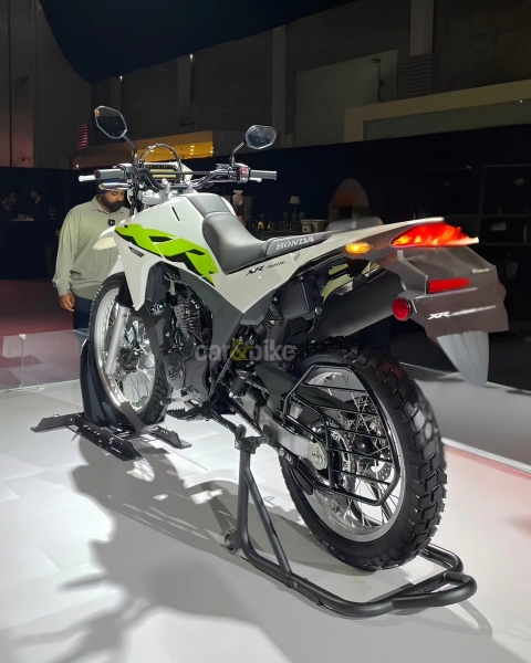 7c71adeb68ec047cae51.jpg