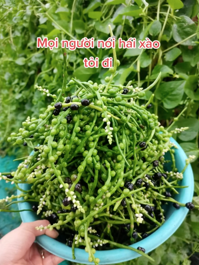 7cbe270b30d3273e8c5e.png