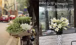 7cbebc86471bd326a27d.jpg