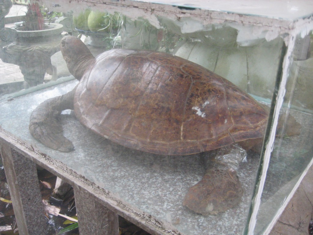 7ccb80be7c0368ab0e0d.jpg