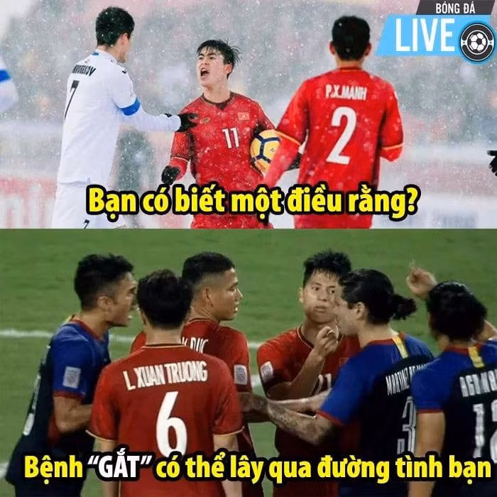 7cfc6de205050c37897e.jpg