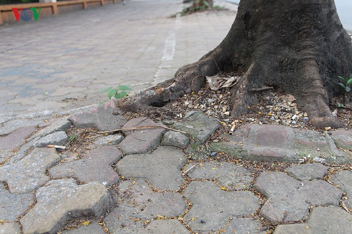 7d0b327440ad37a25724.jpg