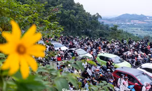7d2acde6f725d2ee07d3.jpg