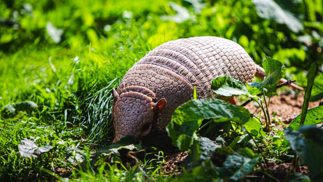 7d32d3c8dba56ee6d220.jpg