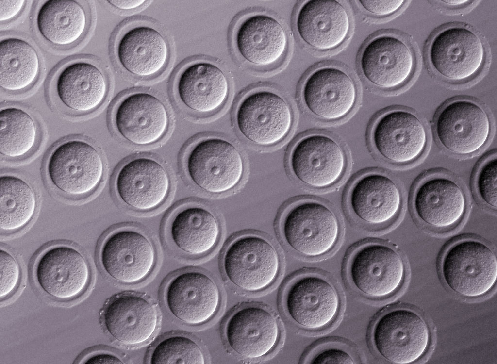 7d384e21f05d1499c0ea.jpg