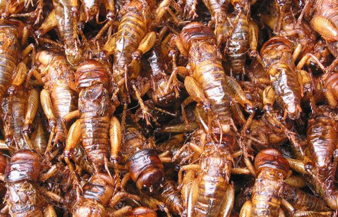 7d40d1849058350f5048.jpg