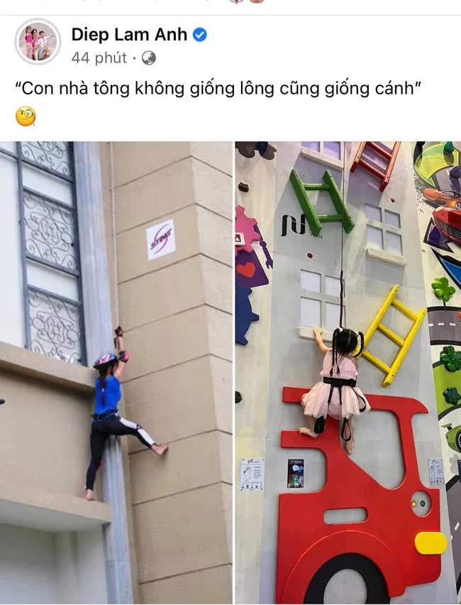 7d42d4c185bda17ffe7c.jpg