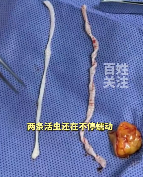 7d5c05ae49a716ca5706.png