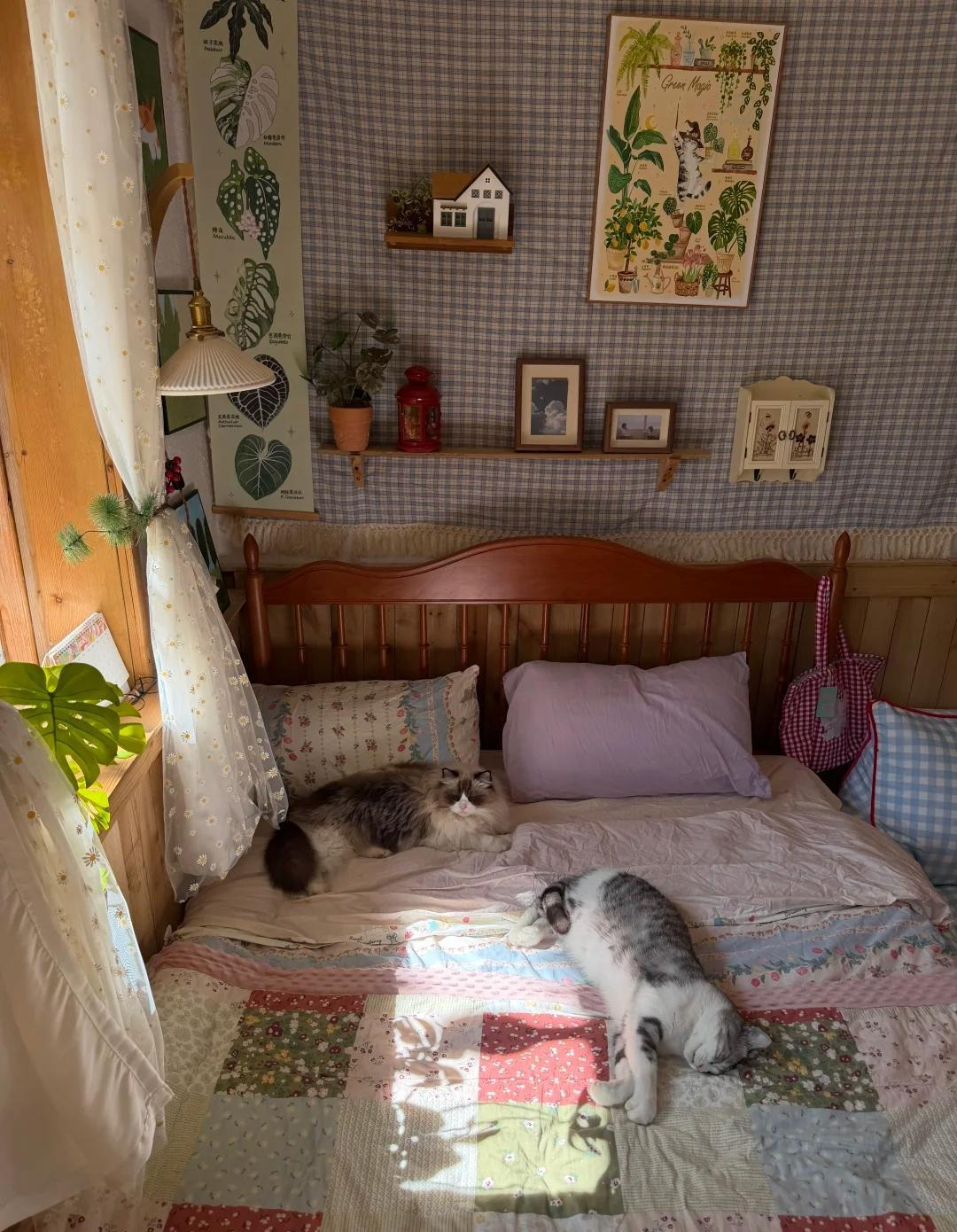 7d619fec87ef991f109c.jpg