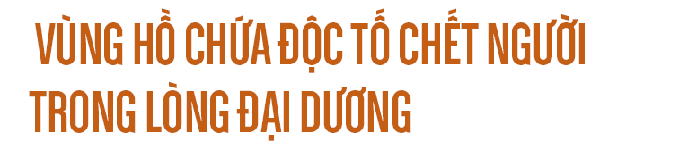 7d6bfd938a6e5f371f63.png