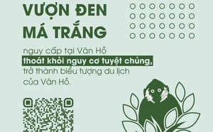 7d8333e8b6a5ff79921a.jpg