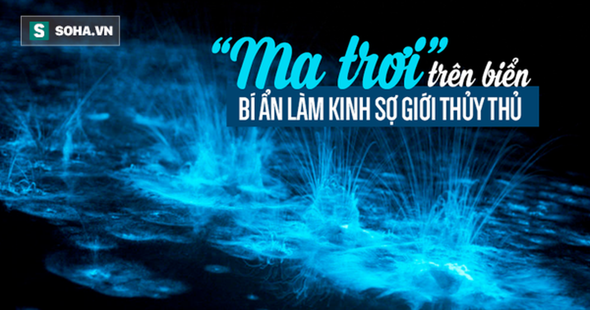 7d92d4e2e3e8bdbeab3a.png