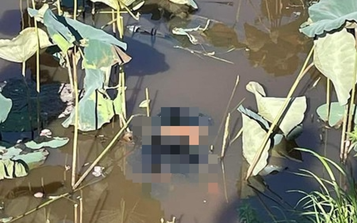 7df0c18935515cec84d0.png