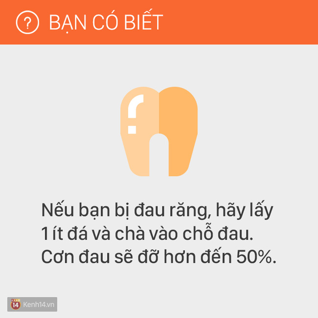 7df7a3c5093ed13d02f9.jpg