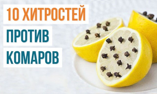 7e0130703f8b5ea39bb2.jpg