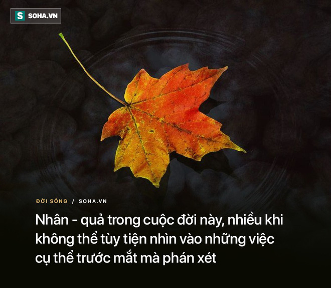 7e2c0a2290e6698b7c74.png