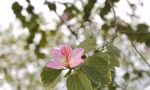 7e4581935d7786451af9.jpg
