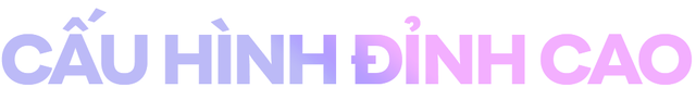 7e462a9550f6c2a6ffca.png