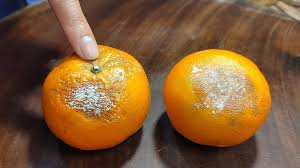 7e56668c8169f1b3fc63.jpg