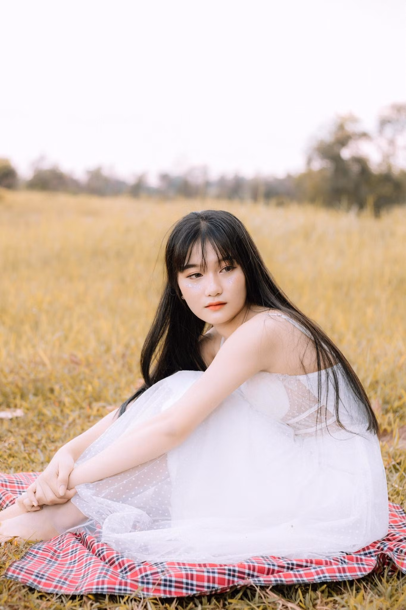 7e5a90616c2cf759bae1.jpg