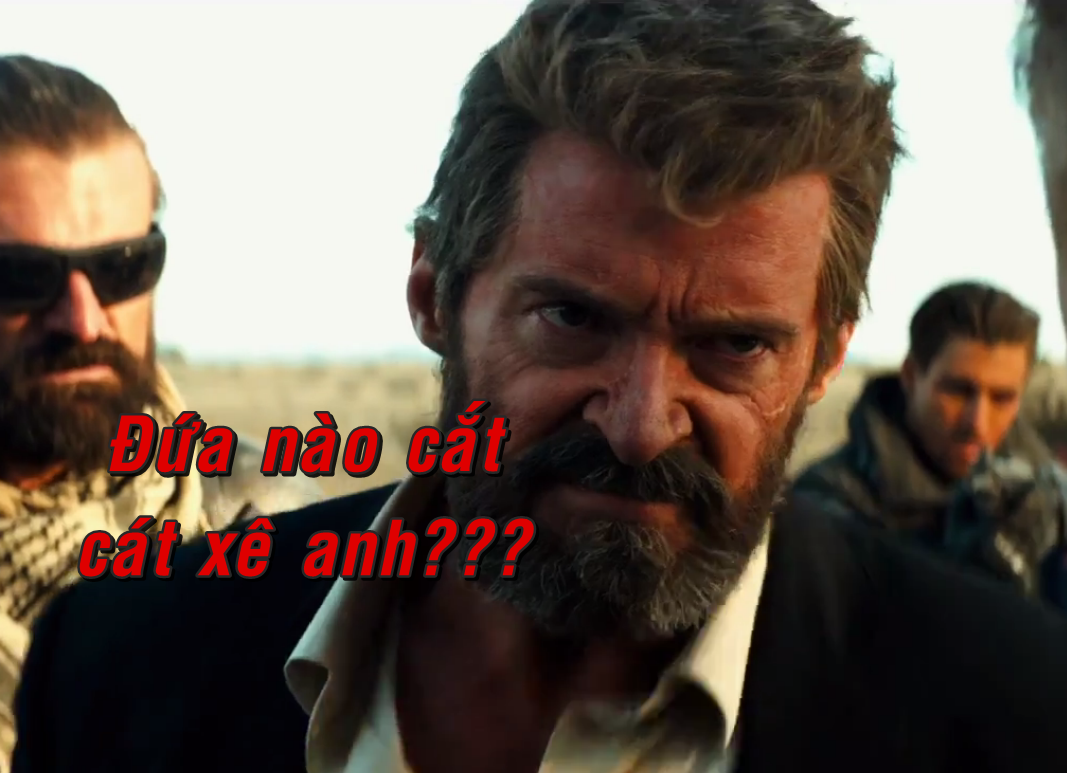 7e90981a6a61adde7bfd.png