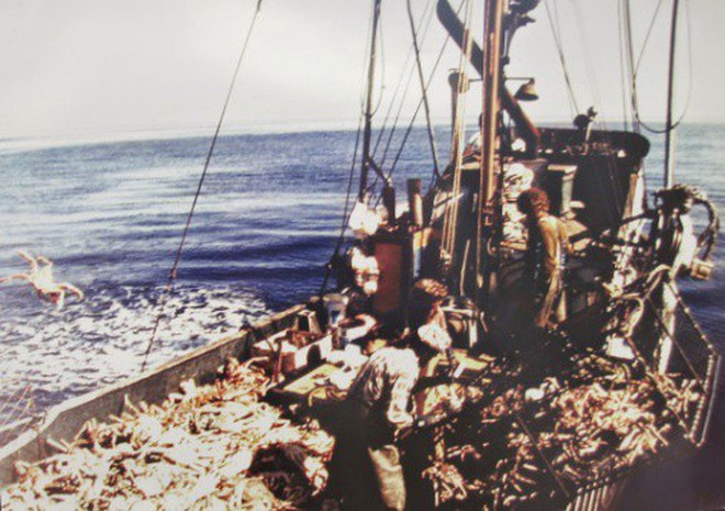 7ebeccf3c20ff96b9a97.jpg