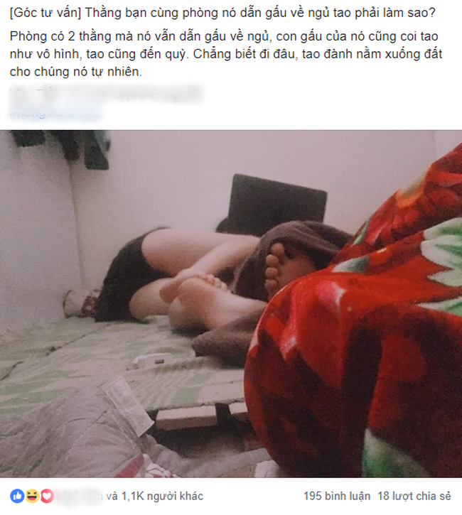 7ed7ffe39971fe58de8f.png