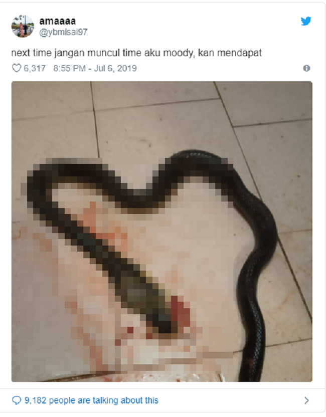 7f365ec3686de11022c6.png