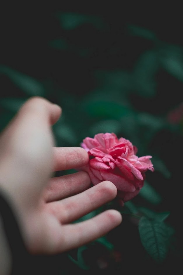 7ff57eb24f178c9c1e2f.jpg