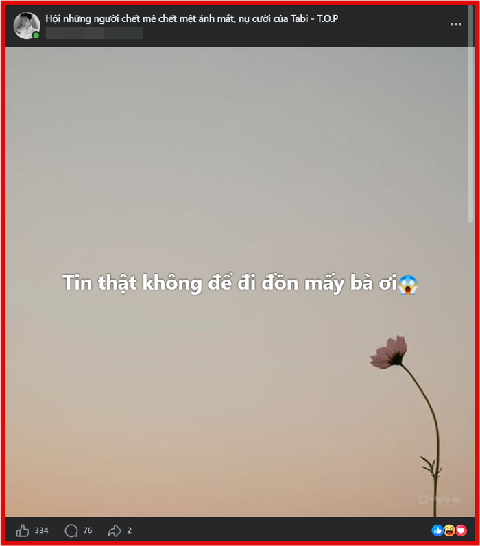 80229aa2ed040d50472a.png