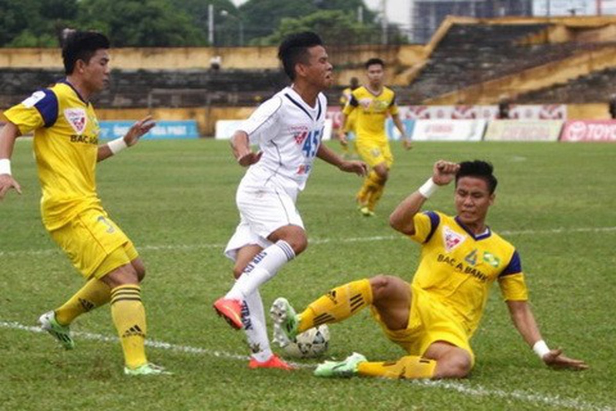 8046774efdf8dcae154b.jpg