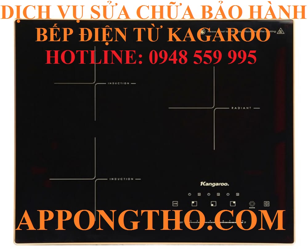 809bb0497db4cad80cba.jpg
