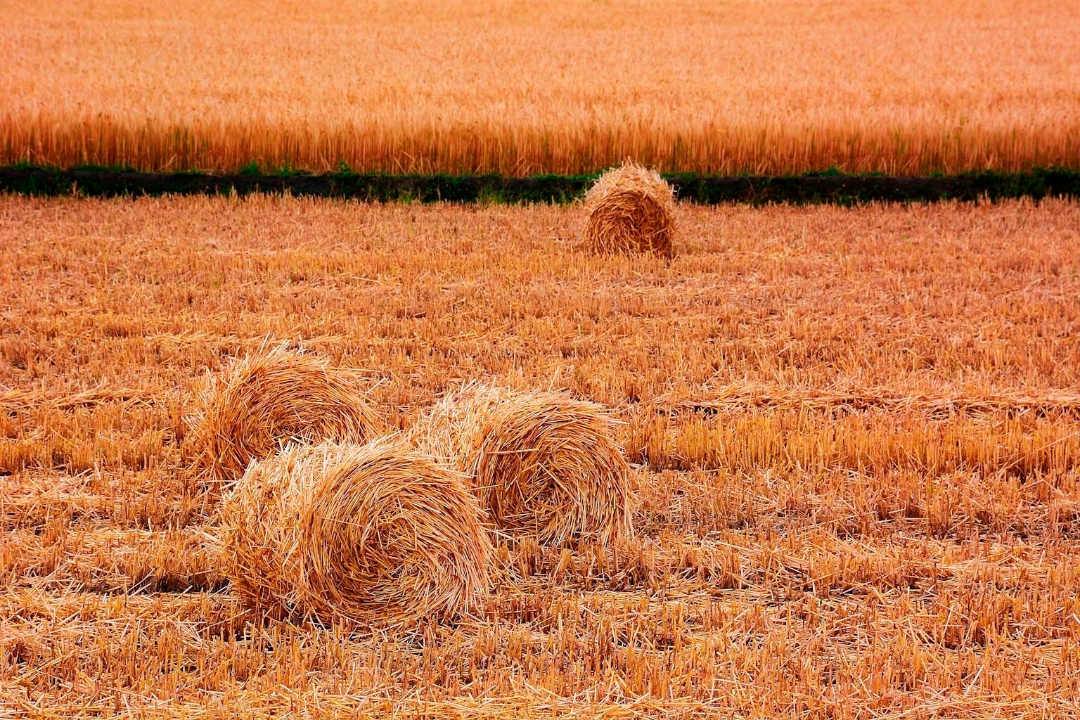 80c9b15f6fd6f3527745.jpg