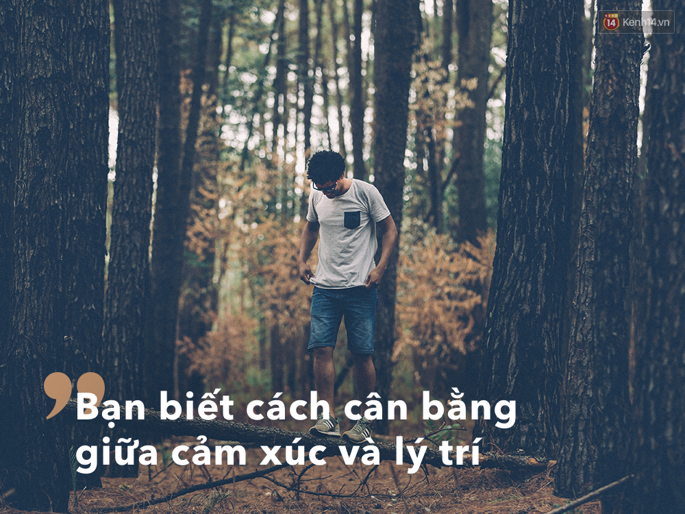 80d9dd8ac04d3844b7d7.jpg