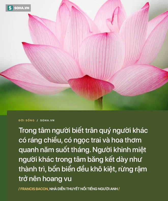 80df33a5692b5b76c9c8.png