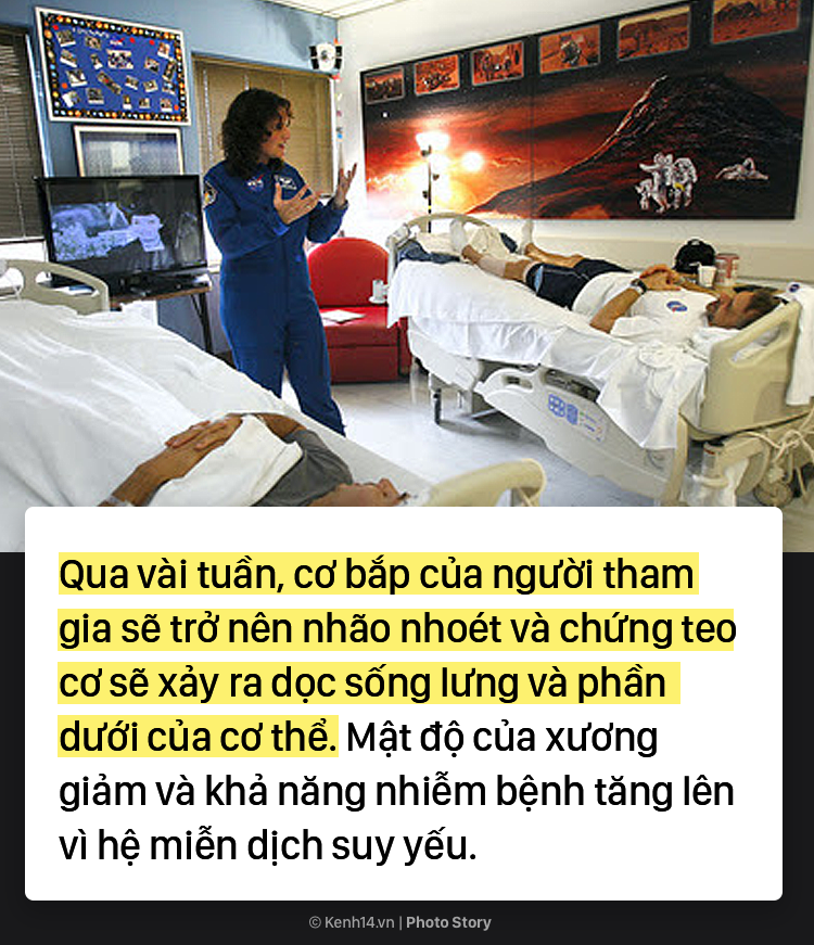 80e6eb69e677a584445e.png
