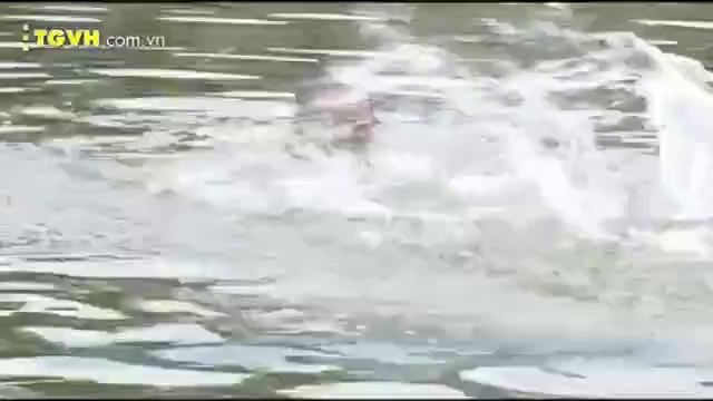 80f0abf536db4ae9b8e2.jpg