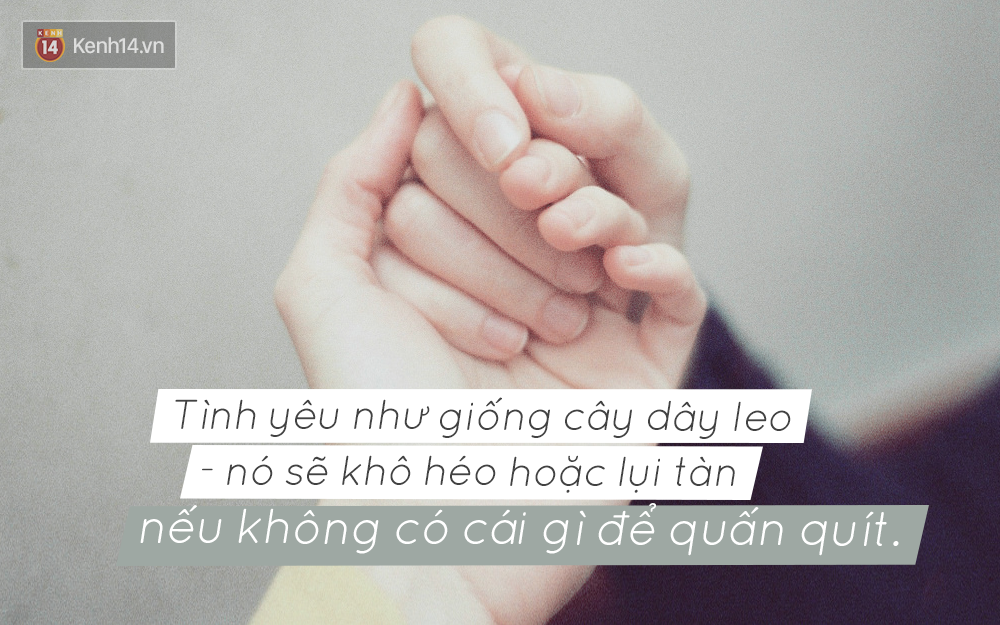 80fc2db17e78d2528373.png